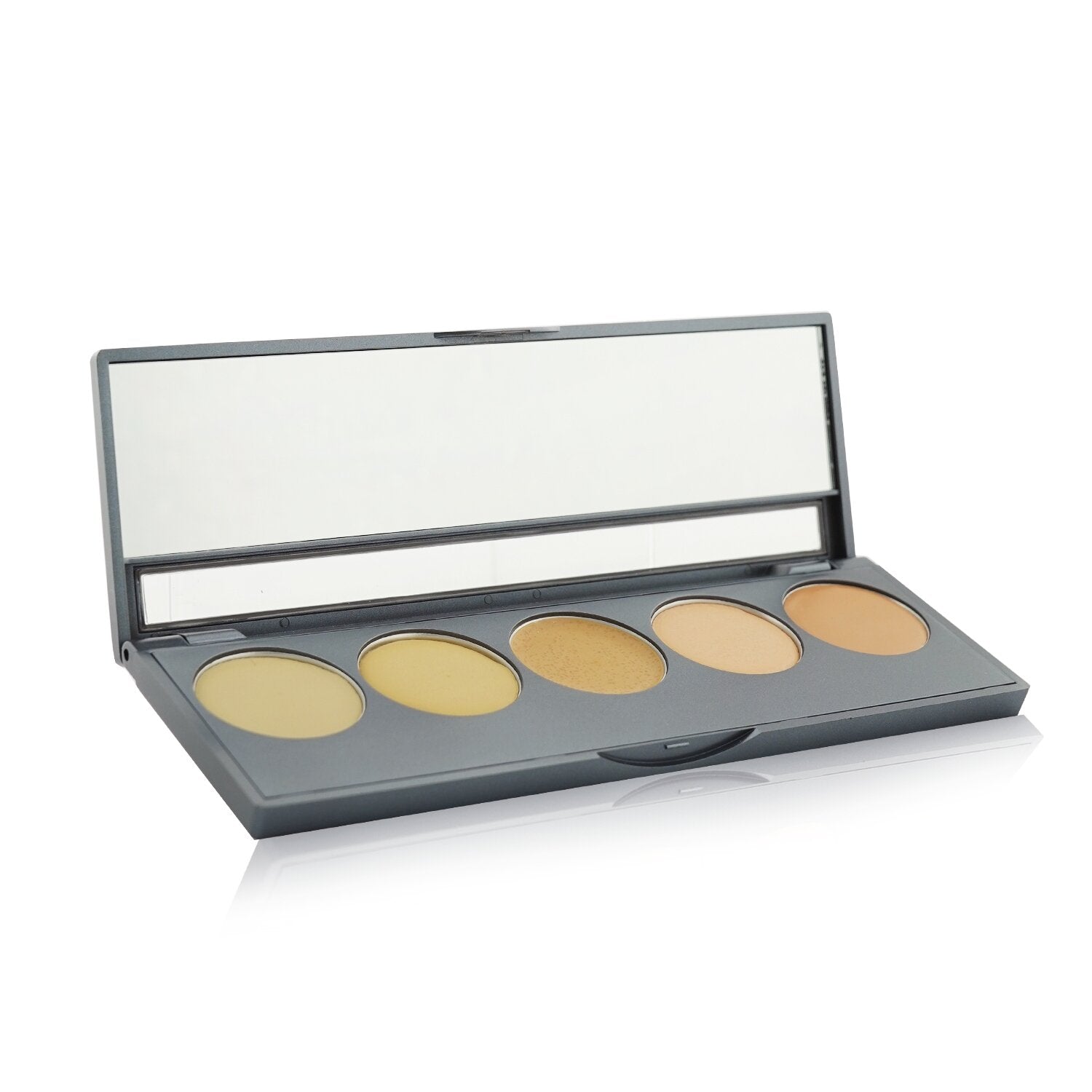 Cinema Secrets Ultimate Corrector 5 In 1 Pro Palette - # No.1  12.5g/0.44oz