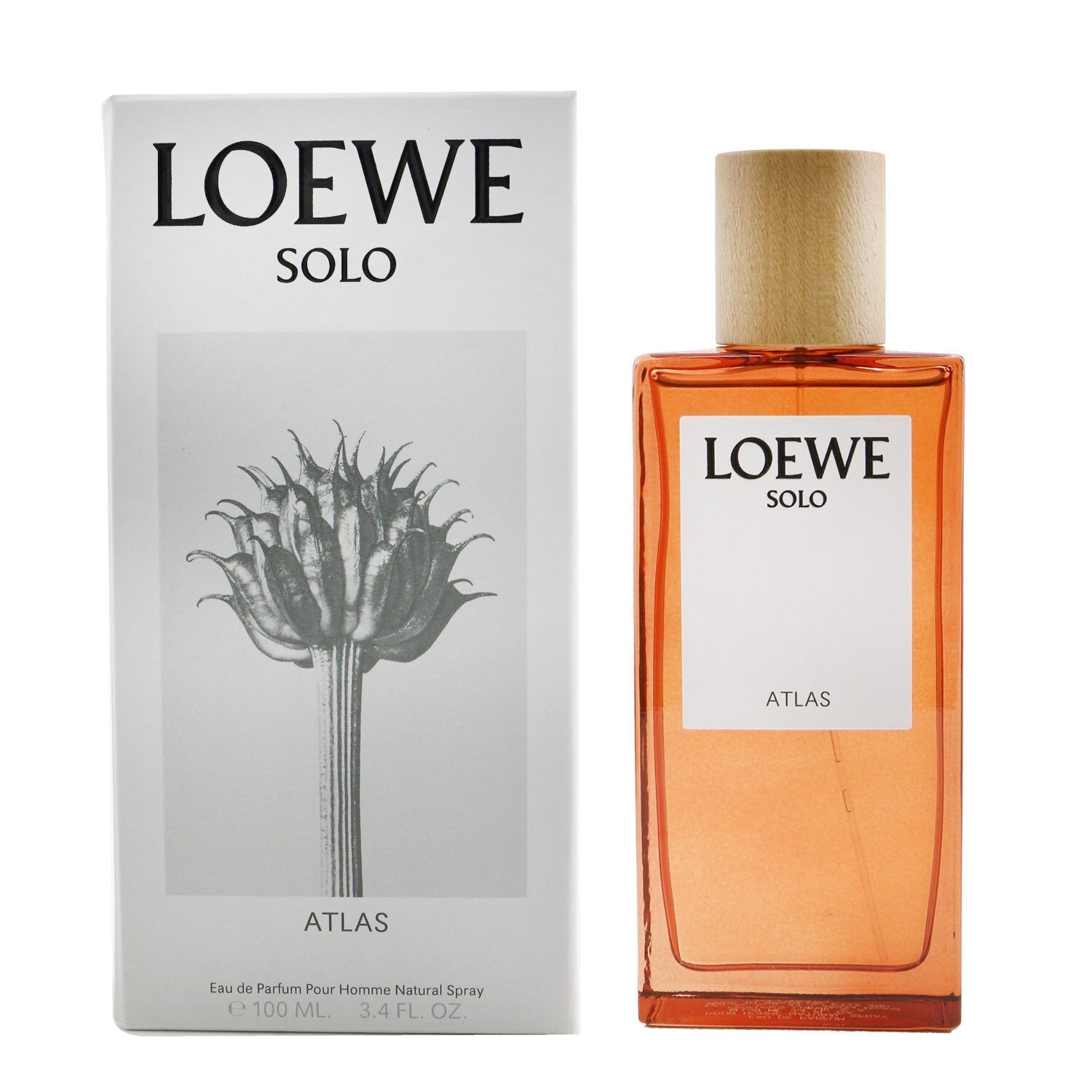 Loewe Solo Atlas Eau De Parfum Spray  50ml/1.7oz