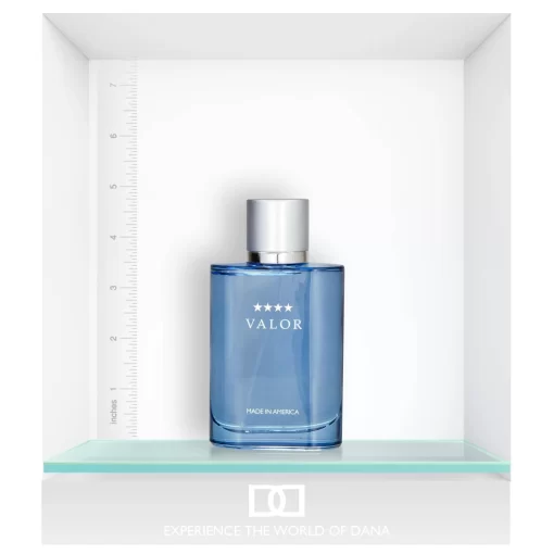 Valor by Dana for Men - 3.4 oz EDT Spray