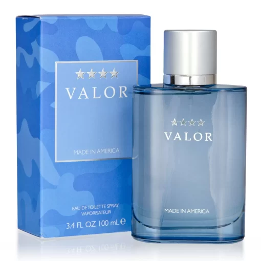 Valor by Dana for Men - 3.4 oz EDT Spray