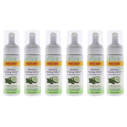 Refreshing Foaming Cleanser - Cucumber-Mint by Burts Bees for Unisex - 4.8 oz Cleanser - Pack of 6